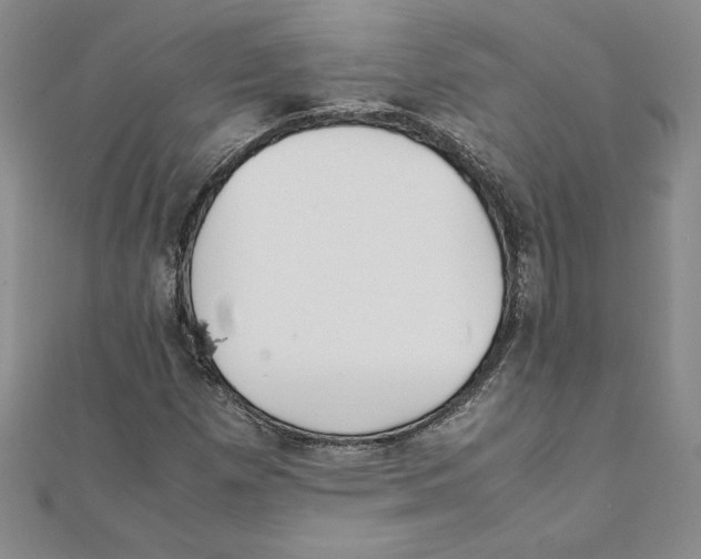 X0000111211257200907291244