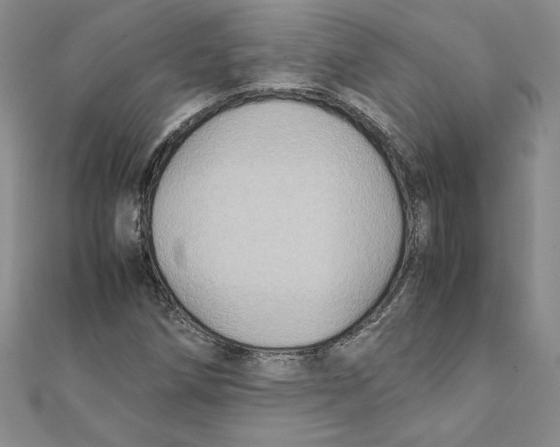 X0000111211258200907291244