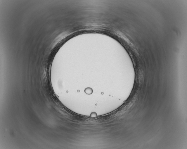 X0000111211259200907291244