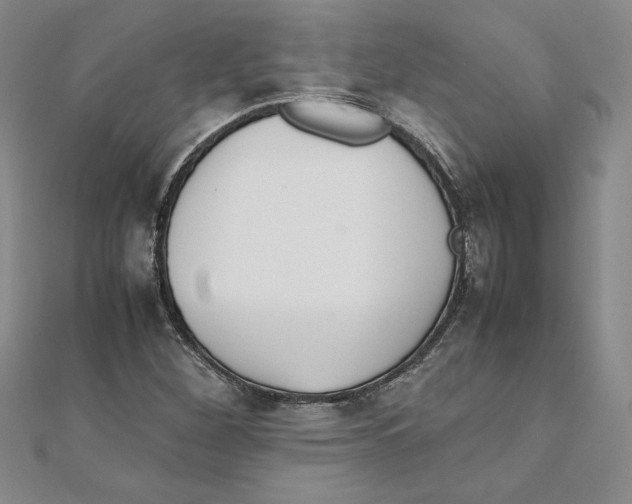 X0000111211260200907291244