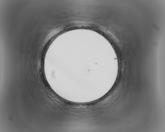 X0000111211261200907291244