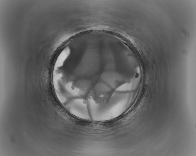 X0000111211263200907291244