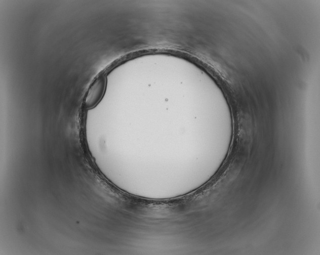 X0000111211264200907291244