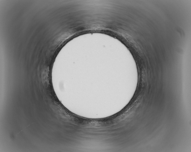 X0000111211265200907291244