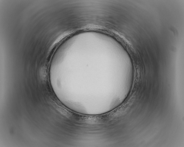 X0000111211266200907291244