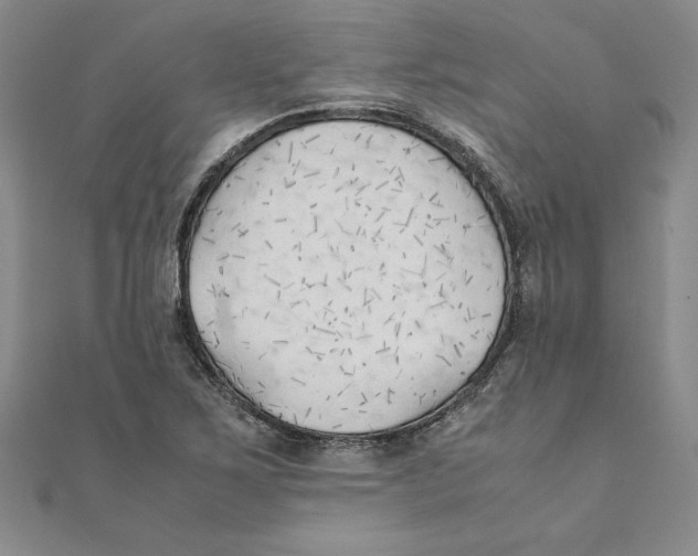 X0000111211267200907291244