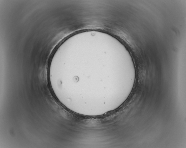 X0000111211268200907291244