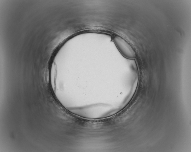 X0000111211269200907291244