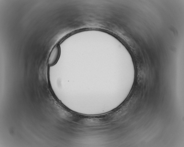 X0000111211272200907291243