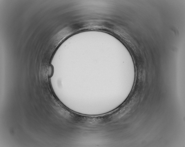 X0000111211273200907291243