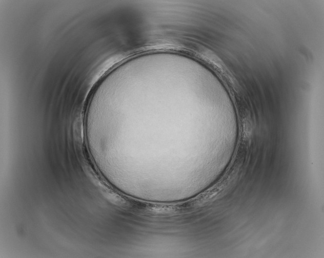 X0000111211274200907291243