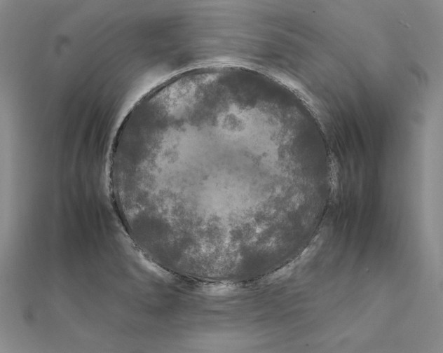 X0000111211278200907291243