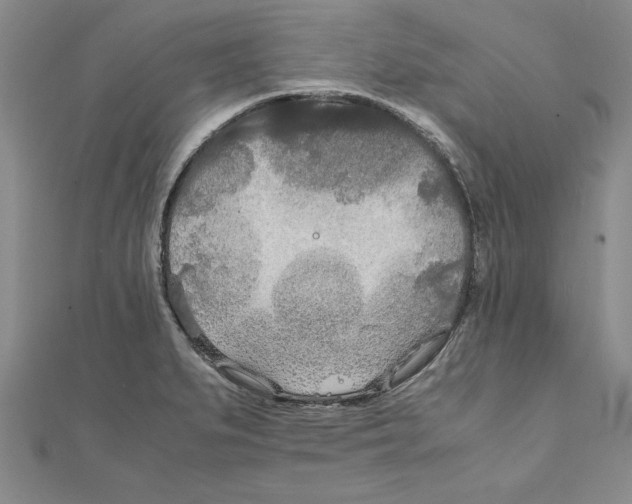 X0000111211279200907291243