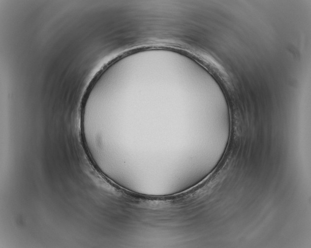 X0000111211280200907291243