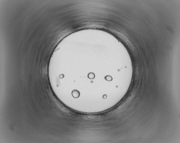 X0000111211281200907291243