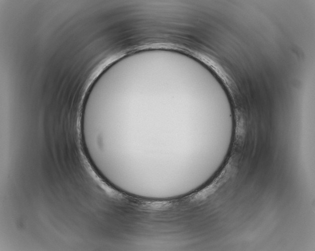 X0000111211282200907291243