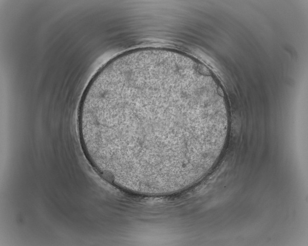 X0000111211283200907291243