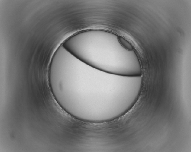 X0000111211284200907291243