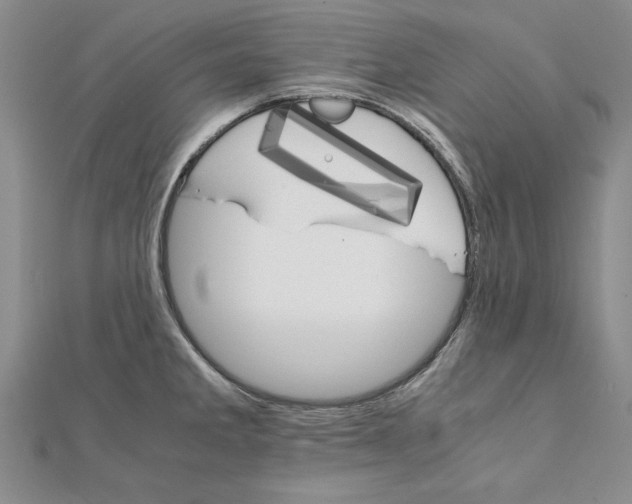 X0000111211285200907291243