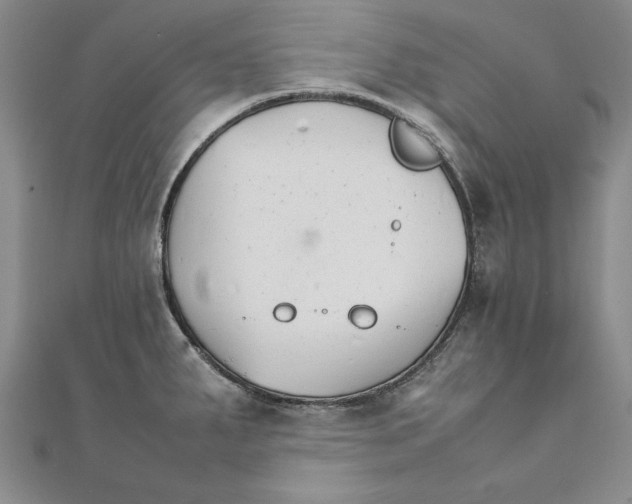 X0000111211287200907291243