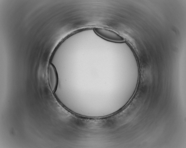 X0000111211288200907291243