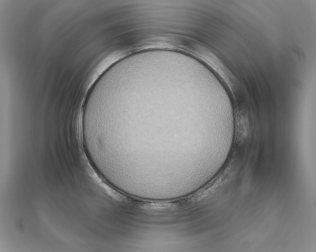 X0000111211290200907291243