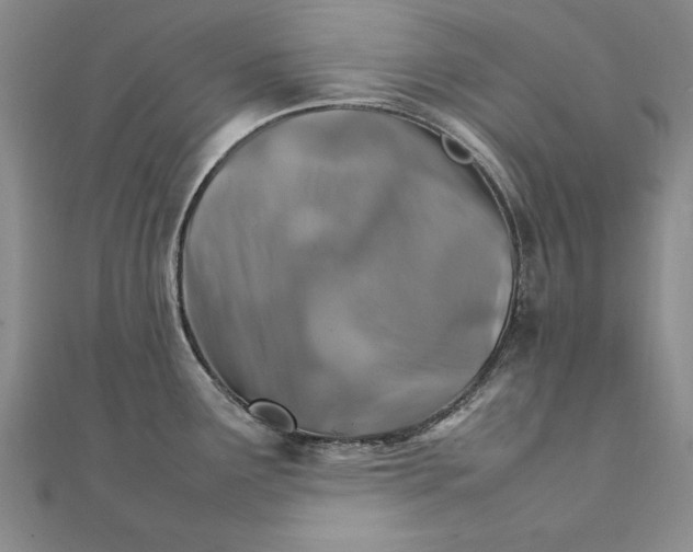 X0000111211291200907291243