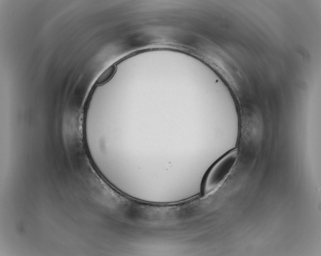 X0000111211292200907291243