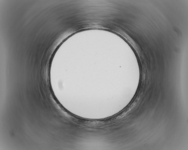 X0000111211293200907291243