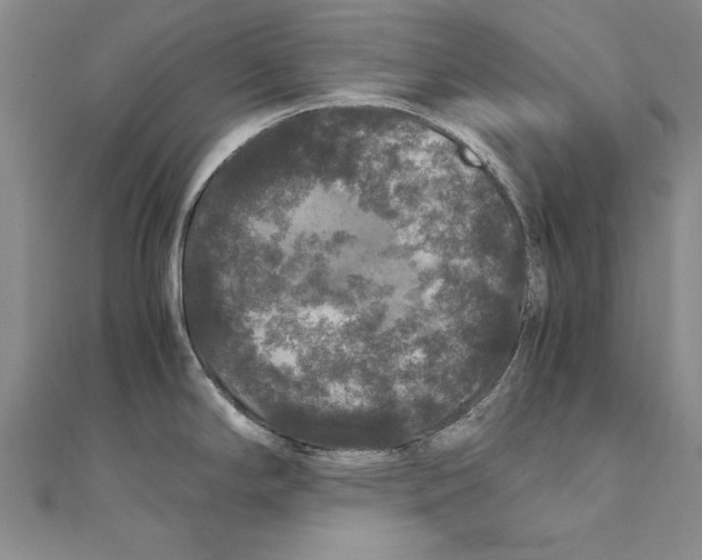 X0000111211294200907291243