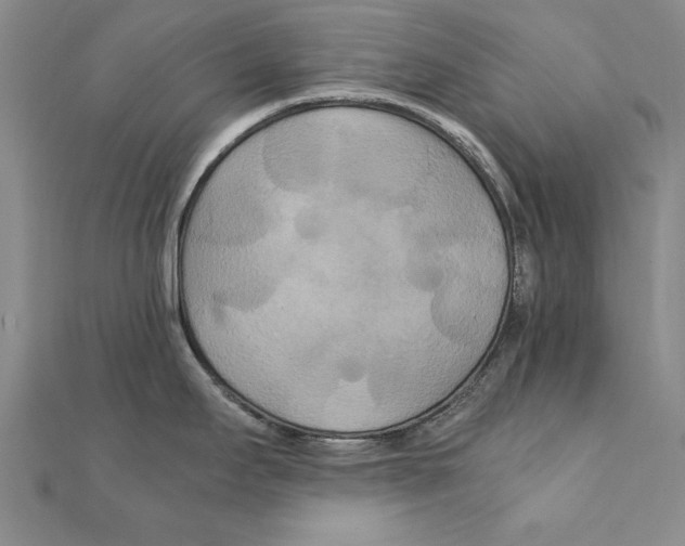 X0000111211295200907291243