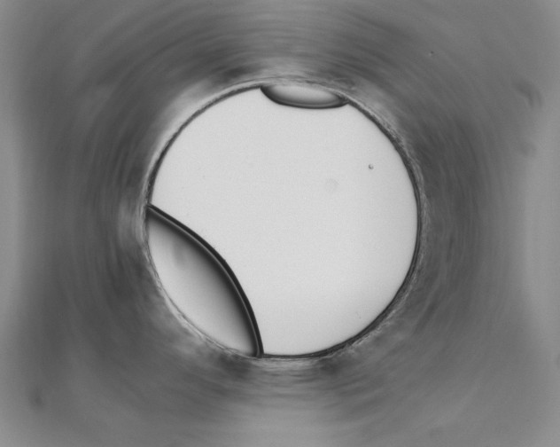 X0000111211296200907291243