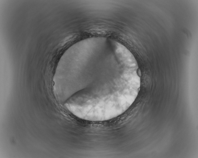 X0000111211297200907291243