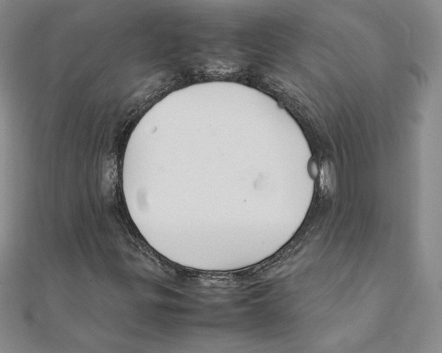 X0000111211299200907291243