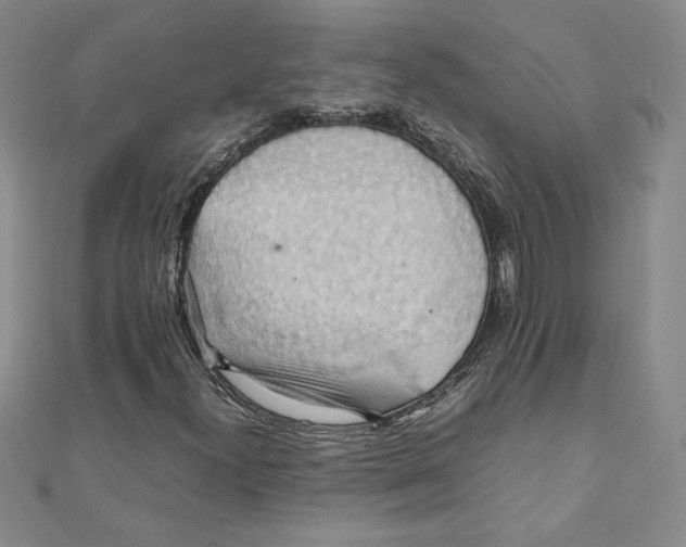 X0000111211300200907291243