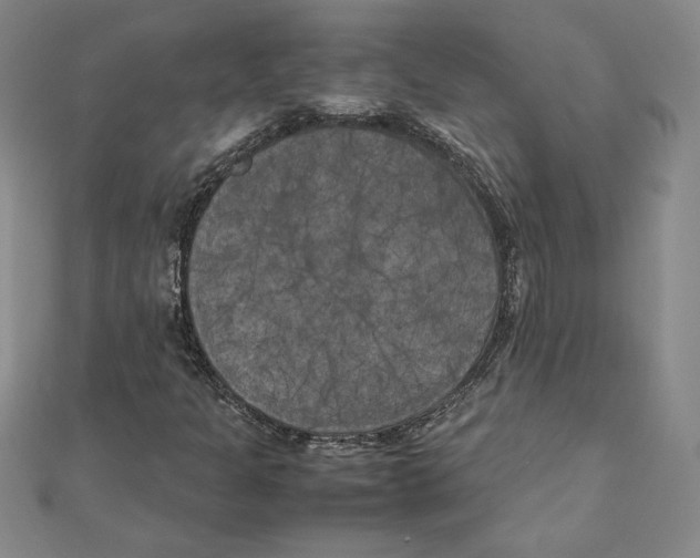 X0000111211301200907291243