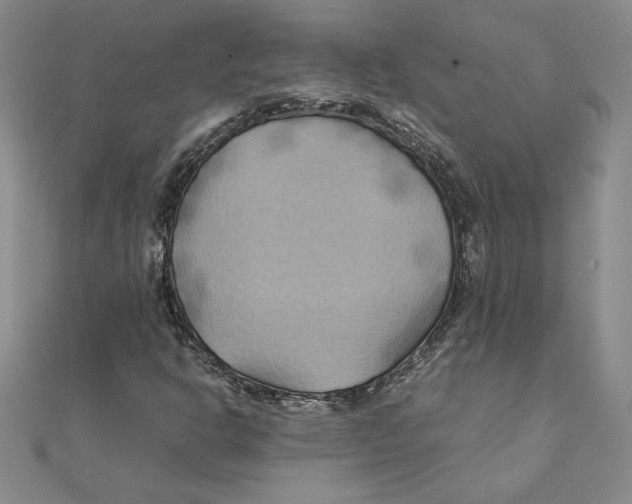 X0000111211302200907291243