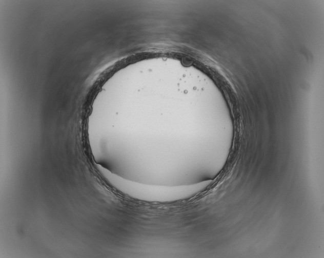 X0000111211304200907291243