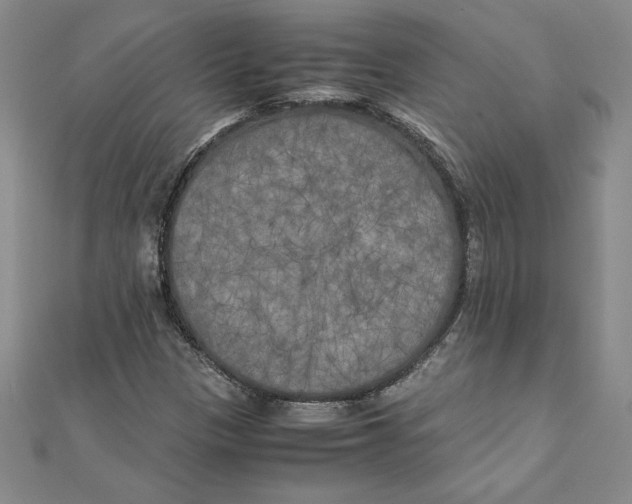 X0000111211305200907291243