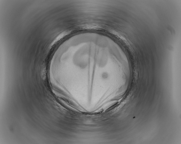 X0000111211306200907291243