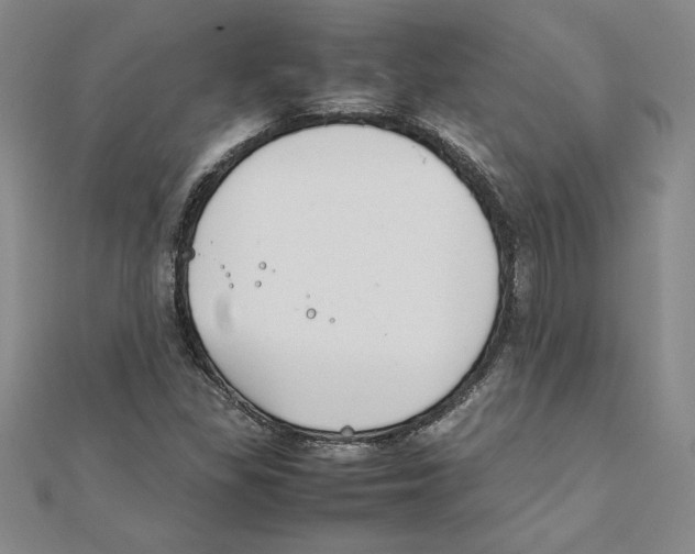 X0000111211309200907291243