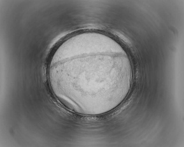 X0000111211310200907291243