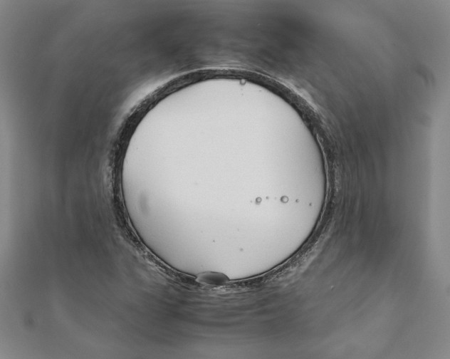 X0000111211311200907291243