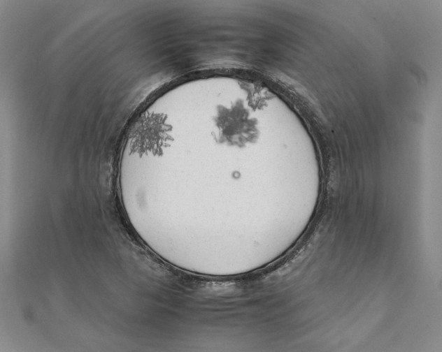 X0000111211313200907291243
