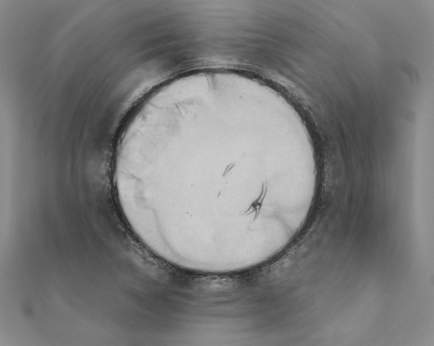 X0000111211314200907291243