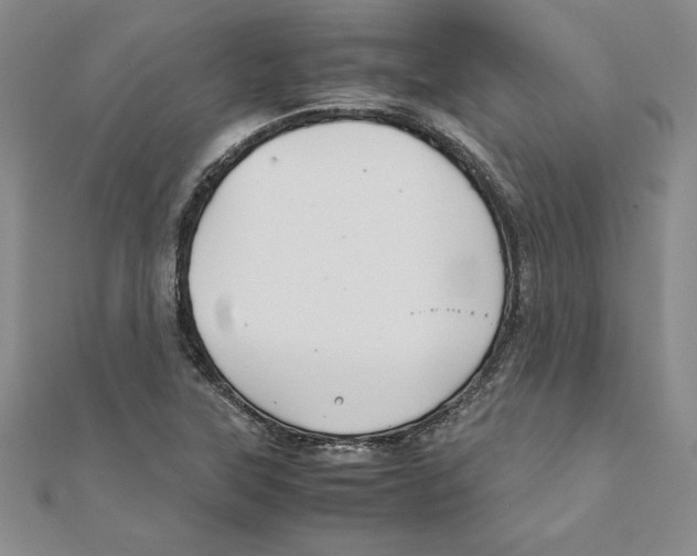 X0000111211315200907291243