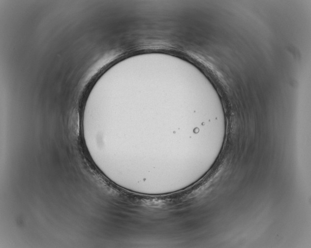 X0000111211317200907291243