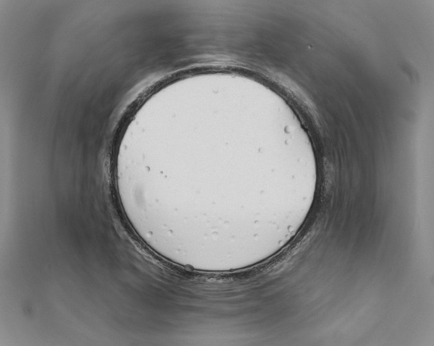 X0000111211318200907291243