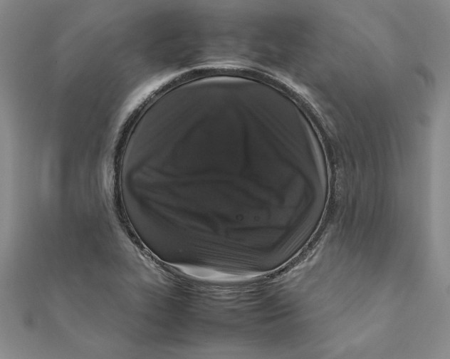 X0000111211319200907291243