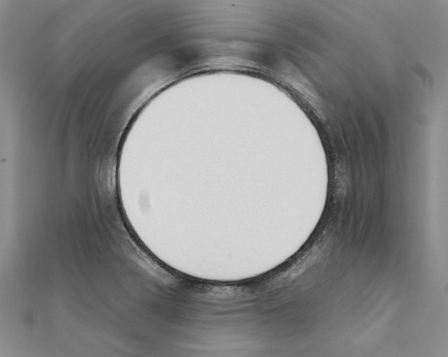 X0000111211322200907291243